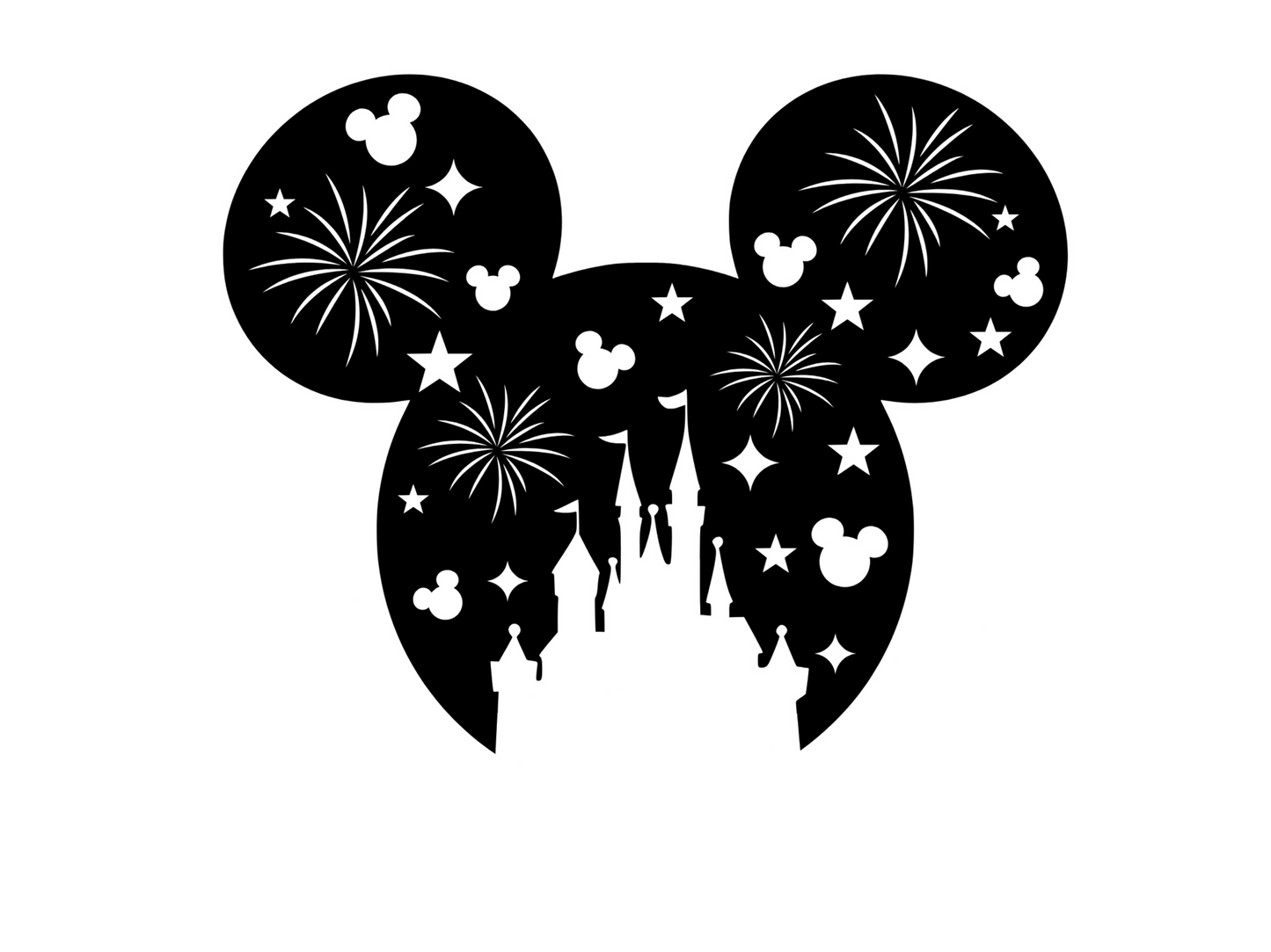 Disney Vacation Year