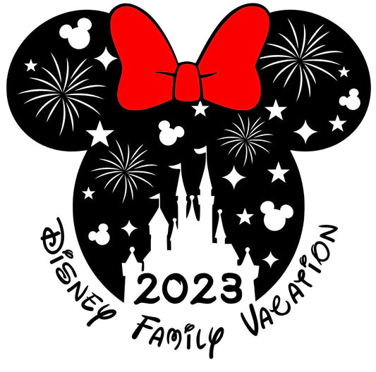 Disney Vacation Year